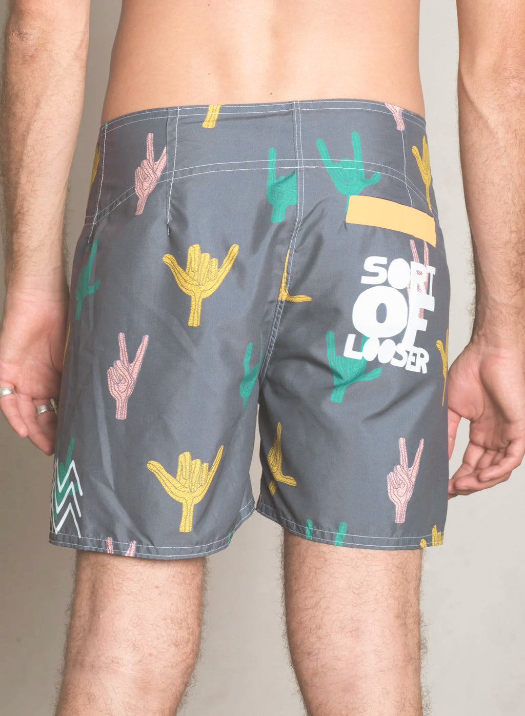 Costume uomo Boardshort Cactus